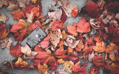 What Apple&#39;s September Announcements Might Mean for Developers