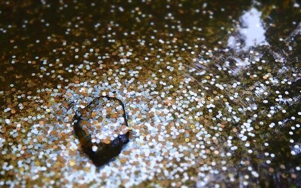 Blockwatch- What Is a Decentralized Exchange?