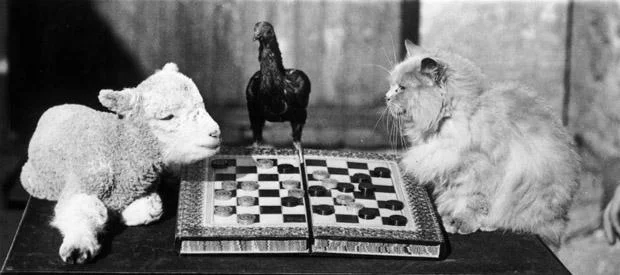 Thoughts on (Play) Testing Thoughts on (Play) Testing